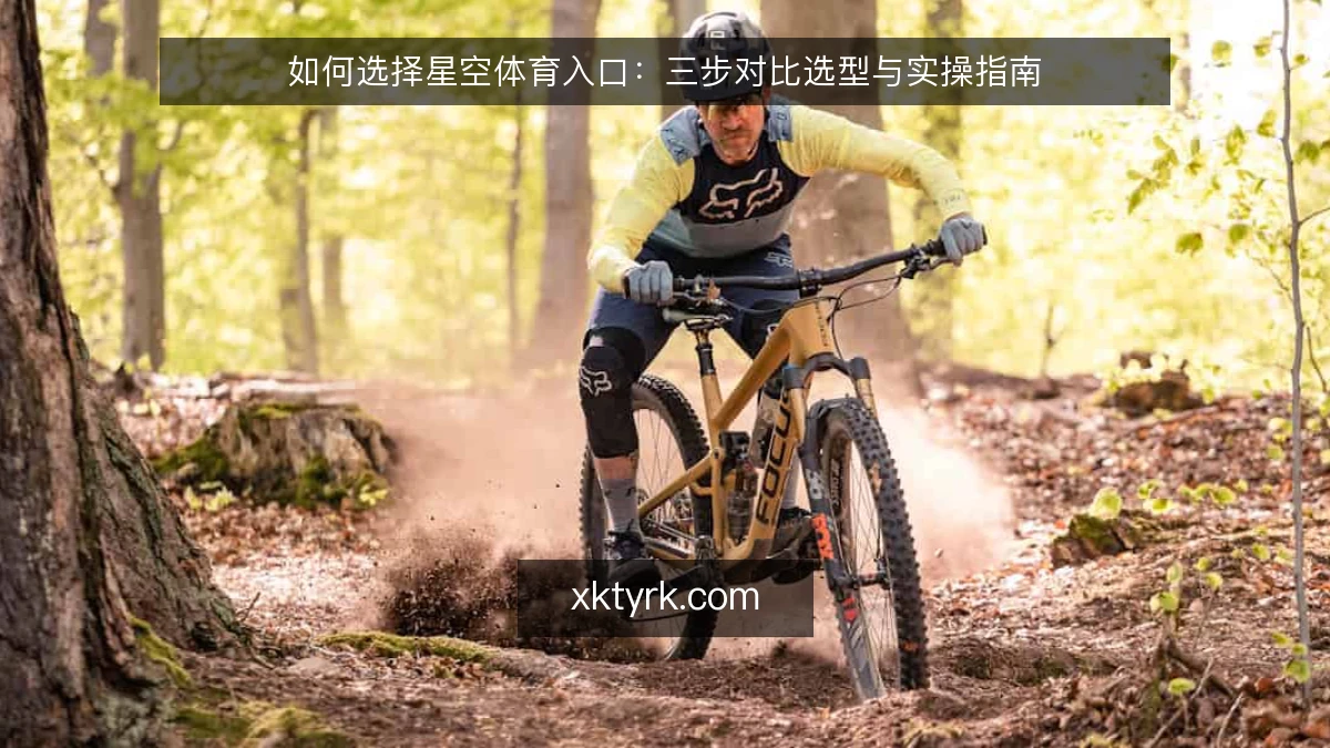 如何选择星空体育入口：三步对比选型与实操指南